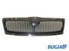 BUGIAD BSP20203 Radiator Grille